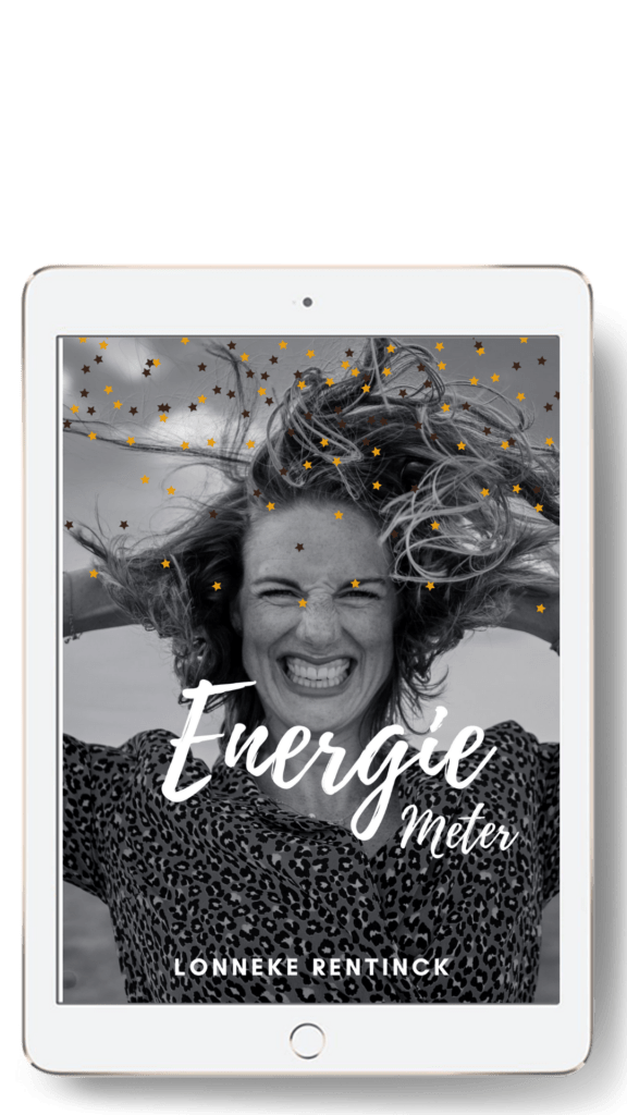 Energiemeter Lonneke Rentinck